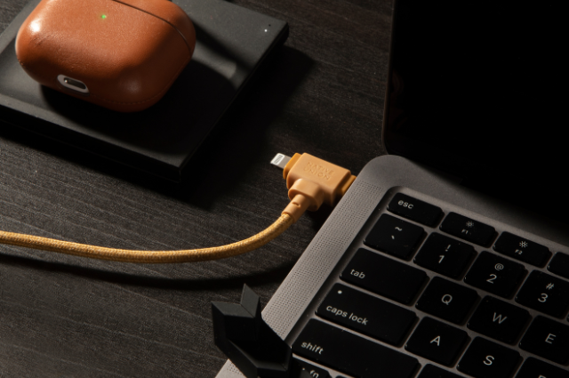 Native Union Belt Cable Duo 2 en 1 USB-C a USB-C y Lightning